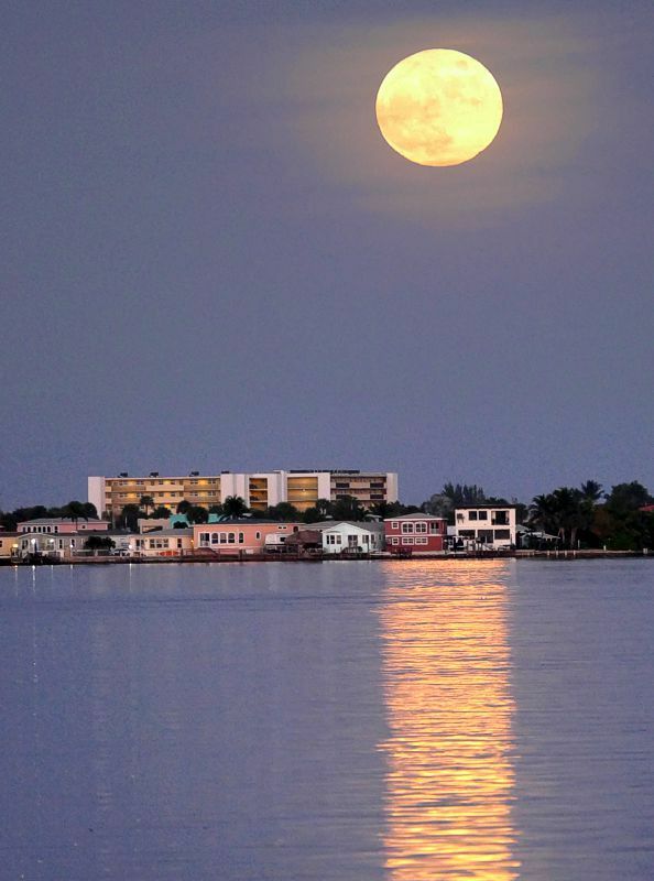 Click to See Next Image